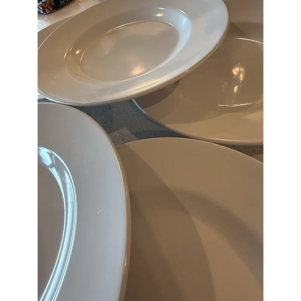 Pottery Barn Al Fresco Melamine Plates Set of 6